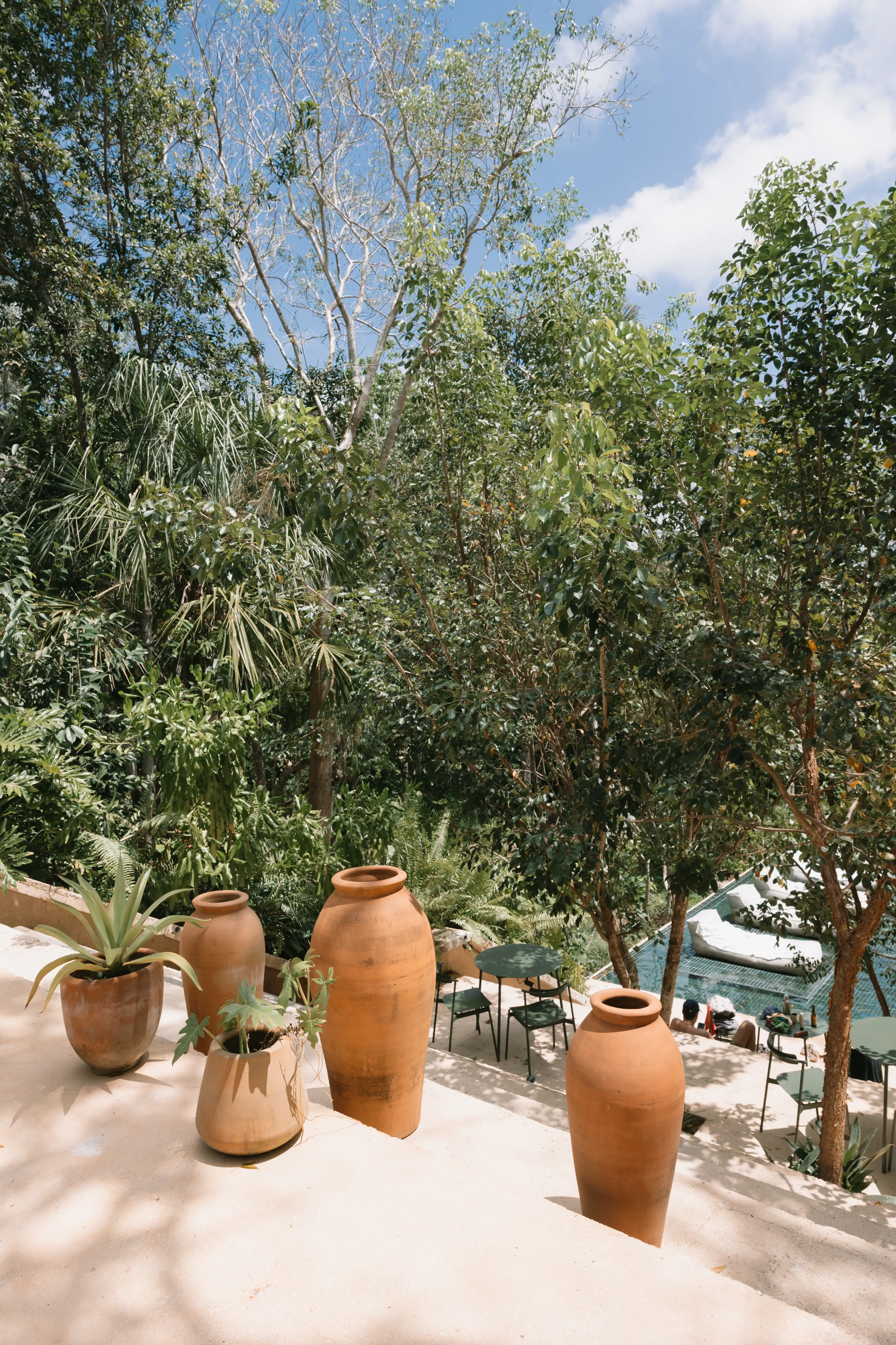 Decoración de ceremonia en bosque