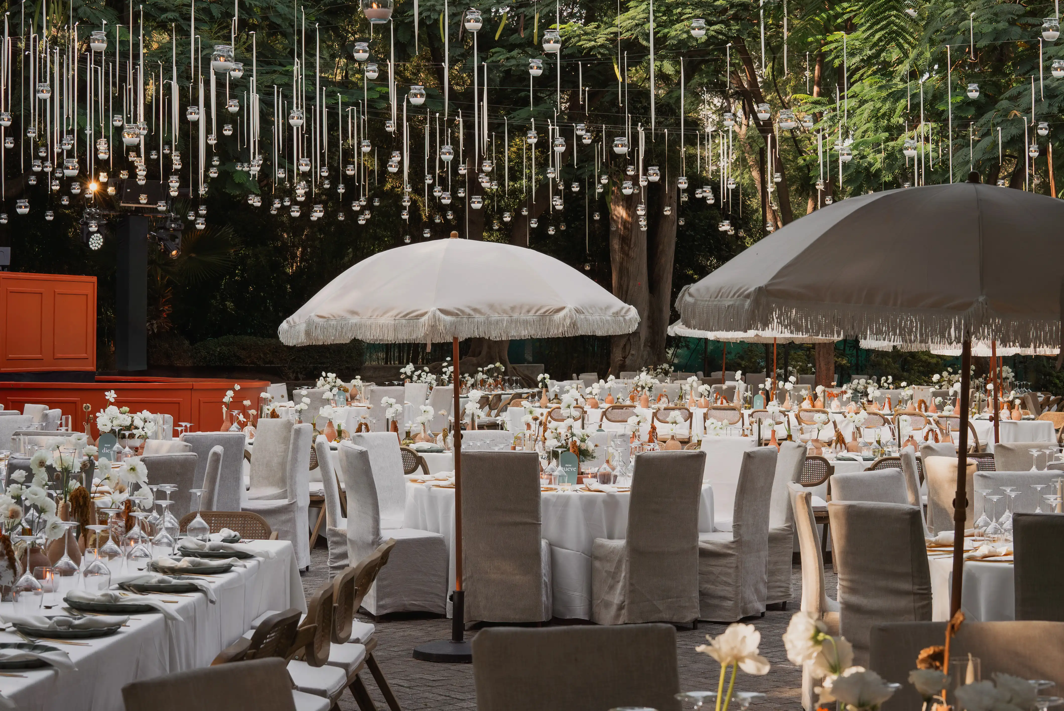 El Encanto del Otoño: Belleza, Calidez y Momentos Únicos